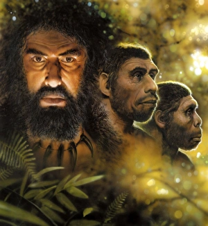 Hominid Evolution Prints: Human evolution, conceptual image C013 / 9574