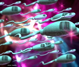 Human genetic engineering Human genetic engineering