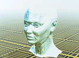 Images Dated 17th July 2001: Human Head Print
