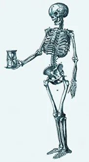 Human Skeleton Prints: Human skeleton