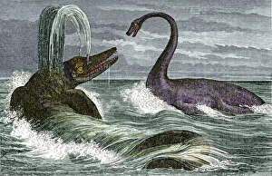 Extinct Sea Creatures Prints: Ichthyosaurus and Plesiosaurus reptiles