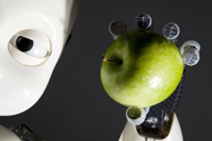 Images Dated 3rd September 2012: iCub Robot Holding an Apple Print