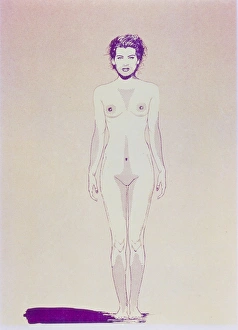 Illustration of body hair regions on a woman Illustration of body hair regions on a woman