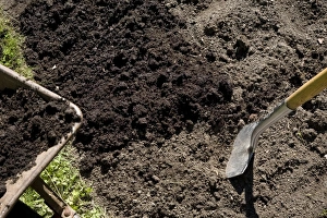 Organic Gardening Tips Prints: Improving soil structure