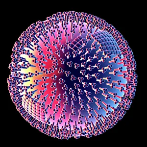 Influenza Virus Print