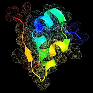 Blood Sugar Regulation Prints: Insulin molecule