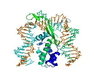 Integration host factor and DNA Print