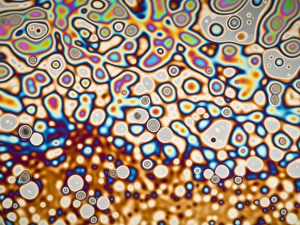 Prints of Interference pattern. Light micrograph of interference patterns on a soap film. The different colours are due to interference of reflected light waves Images Dated 2010 April: Interference Pattern Print of Soap Film