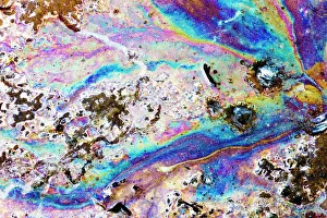 Prints of Interference pattern of colours caused by light reflected off a thin film of oil floating on water Images Dated 2009 January: Oil Film Interference Pattern Print