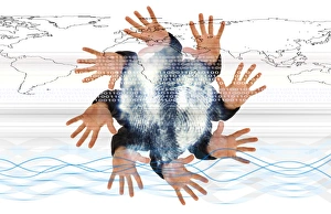 Identity Theft Prevention Prints: Internet security