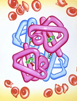 Iron deficient blood cells & haemoglobin molecule Iron deficient blood cells & haemoglobin molecule