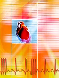 Images Dated 25th June 2004: Irregular heartbeat