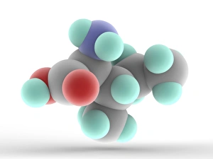 Isoleucine Molecule Print: 3D Atomic Model of Essential Amino Acid
