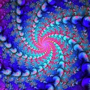 Julia Fractal Print