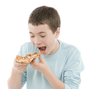 Junk Food Print