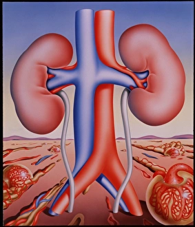 18 Oct 1991 18 Oct 1991