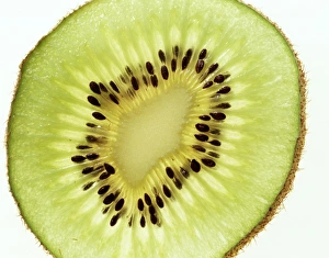 Kiwi Fruit Slice Prints: Kiwi fruit slice