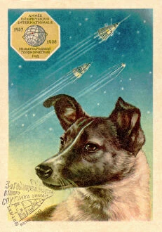 Pop art Collection: Laika the space dog postcard