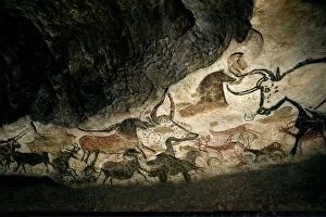 Cave Collection: Lascaux II cave painting replica C013 / 7378