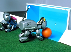 Legged Sony robot scores a goal at RoboCup-98 Legged Sony robot scores a goal at RoboCup-98