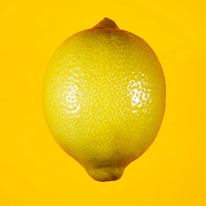 Yellow Citrus Fruits Prints: Lemon