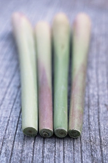 Herb Photography Prints: Lemon grass