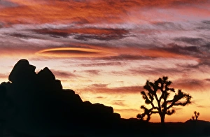 Lenticular cloud, Joshua Tree NM, sunset Lenticular cloud, Joshua Tree NM, sunset