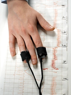 Prints of MODEL RELEASED. Lie detector test. Pulse meters on a mans fingers used for a lie detector, or polygraph, test. Under the subjects hands are the traces produced by the polygraph Images Dated 2005 June: Polygraph Test Print: A man's fingers are attached to pulse meters