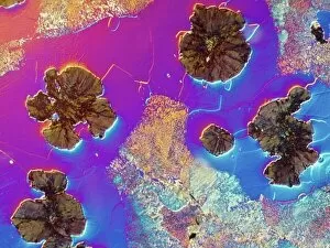 Images Dated 29th January 2010: Light micrograph of cast iron, DIC