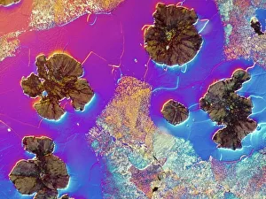 DIC Light Micrograph of Spheroidal Cast Iron Print