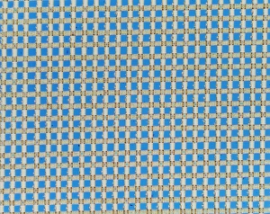 Light micrograph of woven synthetic fibre Light micrograph of woven synthetic fibre