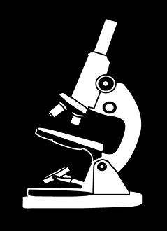 Light Microscope Print