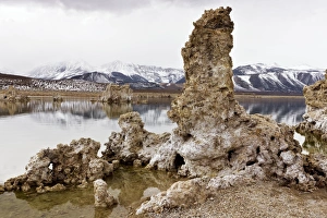 Limestone pinnacles C014/1589 Limestone pinnacles C014/1589