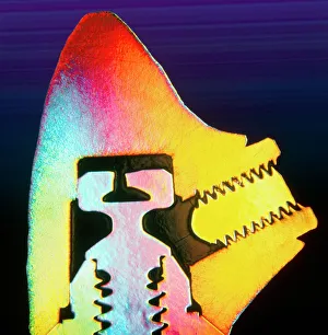 LM of a cross-section through a dental implant LM of a cross-section through a dental implant