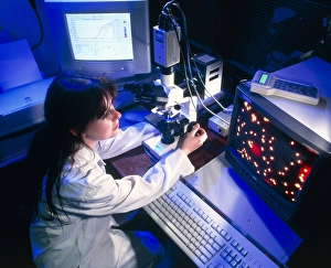 Locating DNA security beads using video microscope Locating DNA security beads using video microscope