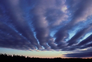 Long streaks of stratocumulus cloud at sunset Long streaks of stratocumulus cloud at sunset