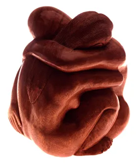 Images Dated 2004: Wooden Lovers Print