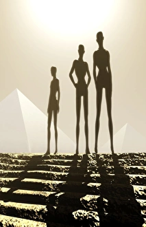 Related Prints: Low Gravity Aliens Print: Computer Artwork of Adapted Humanoid Life Forms