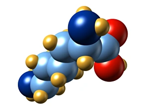 Amino Acid Structure Prints: Lysine, molecular model