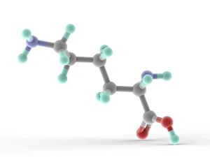 Lysine Molecular Print: A 3D Model of the Essential Alpha-Amino Acid