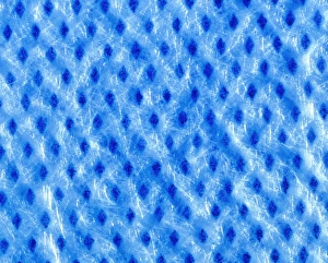 Macrophoto of the synthetic textile polypropylene Macrophoto of the synthetic textile polypropylene