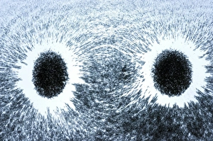 Magnetized Iron Filings Prints: Magnetic field pattern