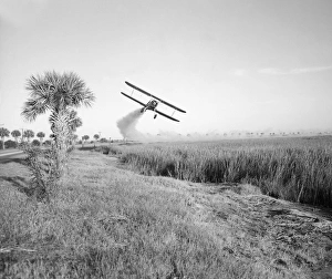 Malaria control operations, 20th century Malaria control operations, 20th century