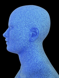 Male head composed of particles, artwork F008/4432 Male head composed of particles, artwork F008/4432