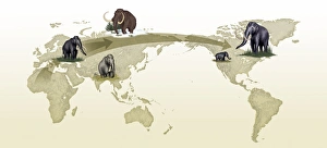Ice Age Animals Prints: Mammoth evolutionary migration, artwork