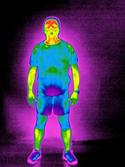 Prints of Man, thermogram. A thermogram shows the variation in temperature on the surface of an object, measured by the long-wave infrared radiation it emits Images Dated 2008 December: Thermogram Man Print