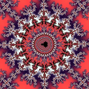 Mandelbrot Fractal Print