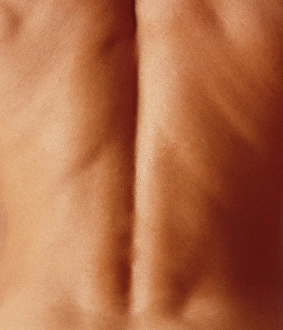 Male Anatomy Prints: Mans back