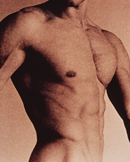 Images Dated 2001: Naked Mans Torso Print