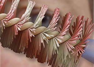Scanning Electron Microscope Images Prints: Mascara brush, SEM